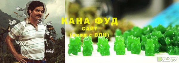 гидра Няндома