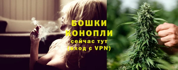 гидра Няндома