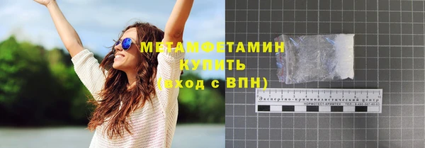 гидра Няндома