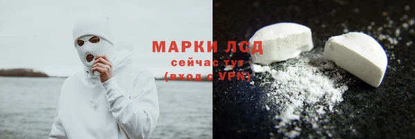 гидра Няндома