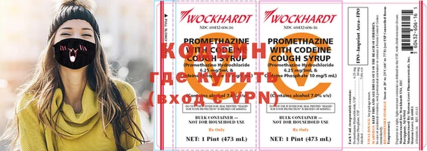 гидра Няндома