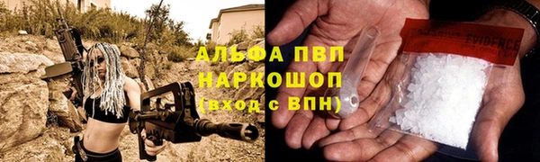 гидра Няндома