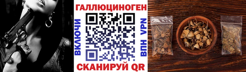Купить закладки  Саки  Псилоцибиновые грибы GOLDEN TEACHER 