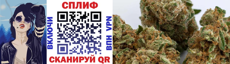 Бошки Шишки план  Купить  Саки 